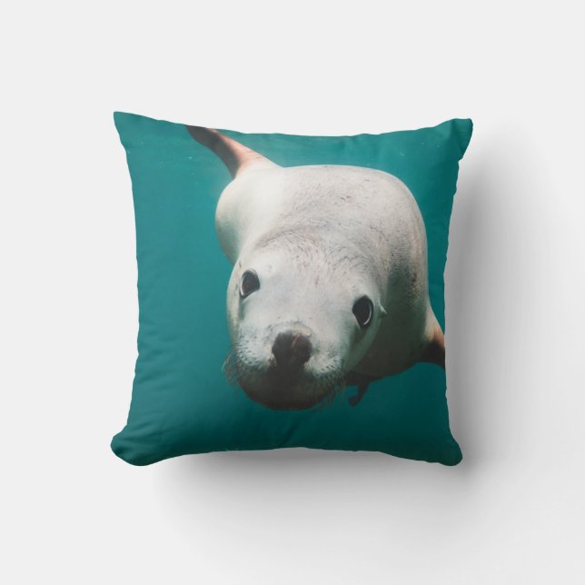 Cojín Decorativo Hermoso león marino (Anverso)