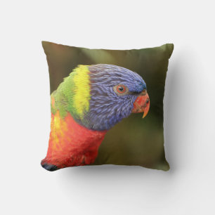 Cojín Decorativo Hermoso loro colorido