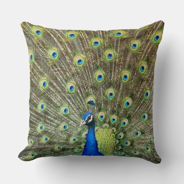 Cojín Decorativo Hermoso pájaro pavo real (Anverso)
