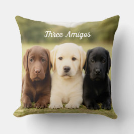 Cojín Decorativo Hermoso trío de labrador personalizado