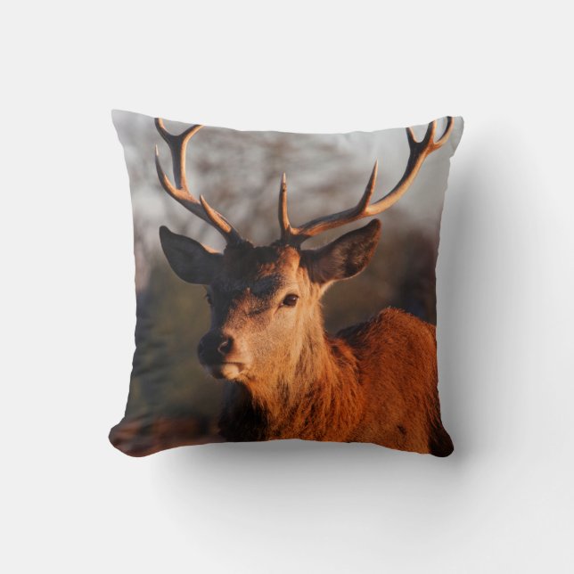 COJÍN DECORATIVO HI DEER (Anverso)