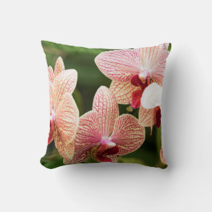 Cojín Decorativo Híbrido de orquídea naranja, Sudáfrica