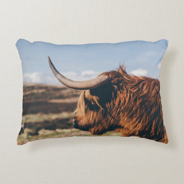 COJÍN DECORATIVO HIGHLAND COW (Anverso)