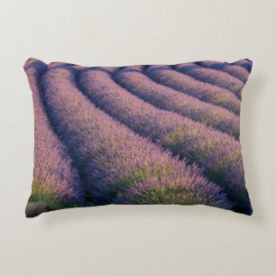 Cojín Decorativo Hileras de lavanda en Provenza