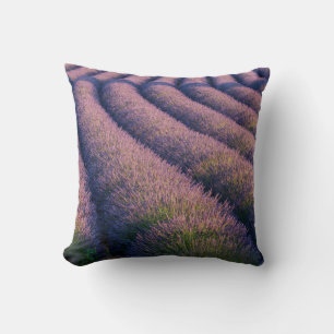 Cojín Decorativo Hileras de lavanda en Provenza