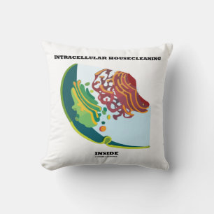 Cojín Decorativo Hogar intracelular dentro de la endomembrana