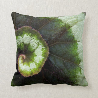 Cojín Decorativo Hoja de la begonia del caracol