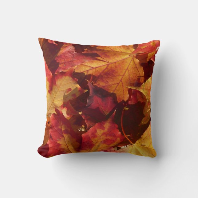 Cojín Decorativo Hojas de otoño de la caída (Anverso)