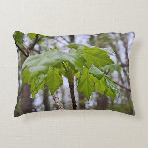 Cojín Decorativo Hojas del bosque después de la lluvia – Naturaleza