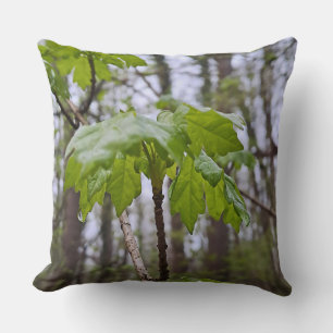 Cojín Decorativo Hojas del Bosque Después de la Lluvia – Naturaleza
