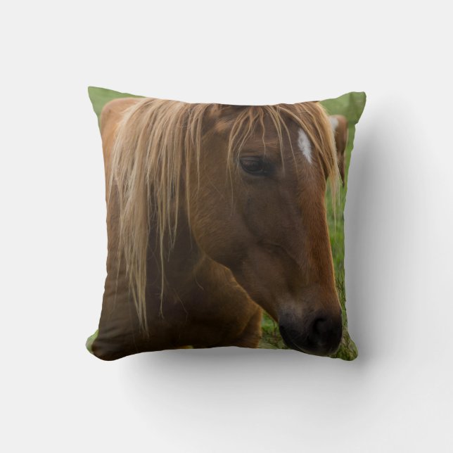 Cojín Decorativo Hola de caballo (Anverso)