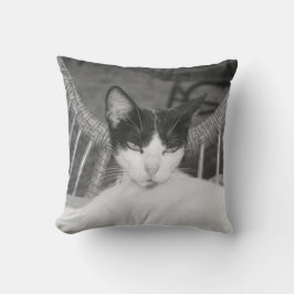 Cojín Decorativo Hola, Meow...