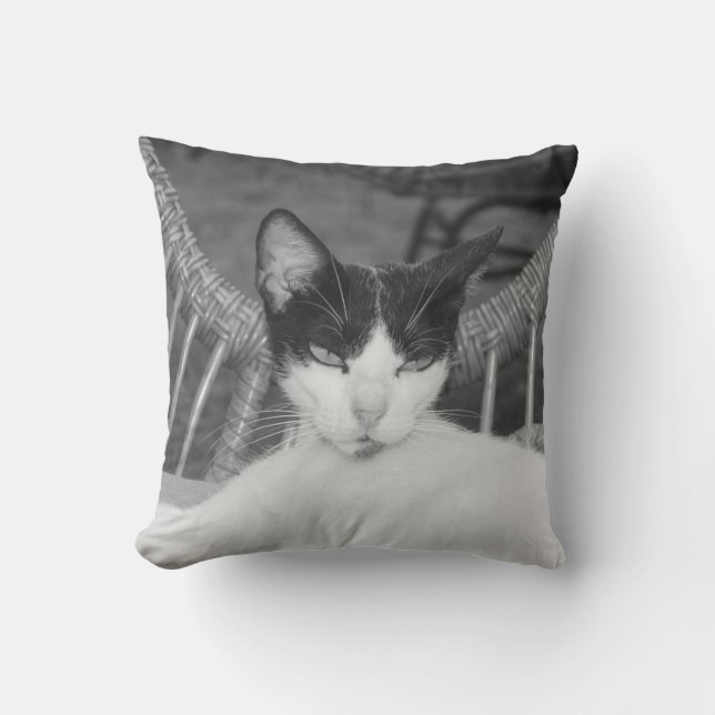 Cojín Decorativo Hola, Meow... (Anverso)