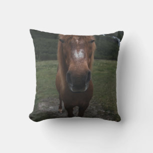 COJÍN DECORATIVO HOLA SOY UN CABALLO
