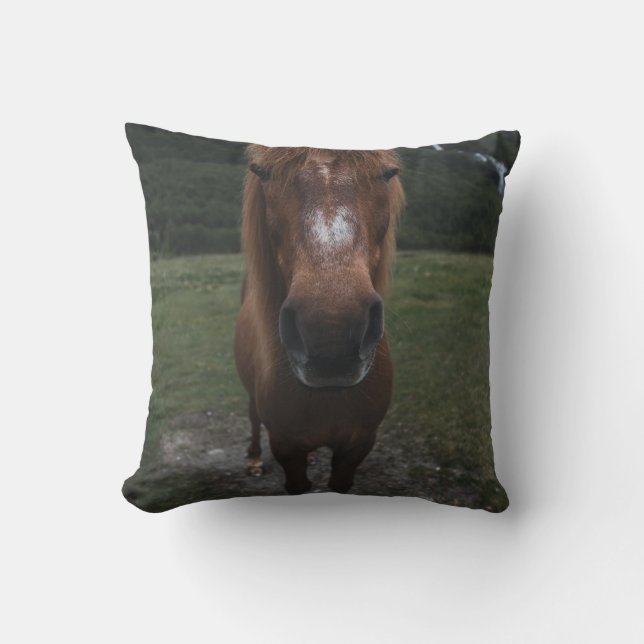 COJÍN DECORATIVO HOLA SOY UN CABALLO (Anverso)