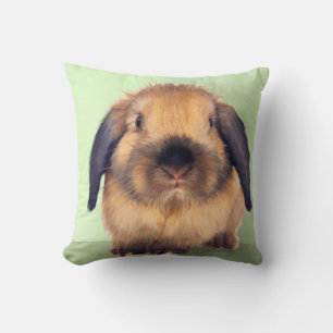 Cojín Decorativo Holland Lop
