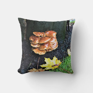 Cojín Decorativo Hongos en un árbol, Oregón