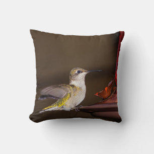 Cojín Decorativo Hummingbird