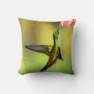 Cojín Decorativo Hummingbird