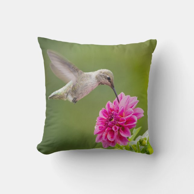 Cojín Decorativo Hummingbird Gris Hermosa Flor Rosa (Anverso)