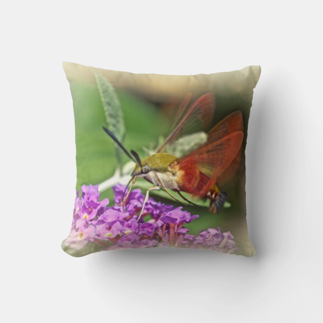 Cojín Decorativo Hummingbird Hawk Moth (Anverso)