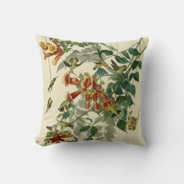 Cojín Decorativo Hummingbird Ruby Throated Audubon