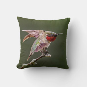 Cojín Decorativo Hummingbird Stretches