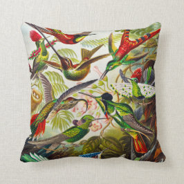 Cojín Decorativo Hummingbirds por Ernst Haeckel