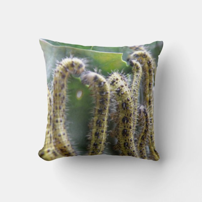 Cojín Decorativo Hunbage Cabbage White Caterpillar Pillow (Anverso)