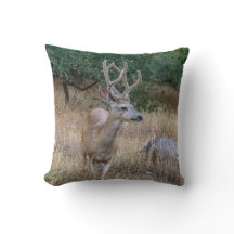 Hungry Deer Pillow
