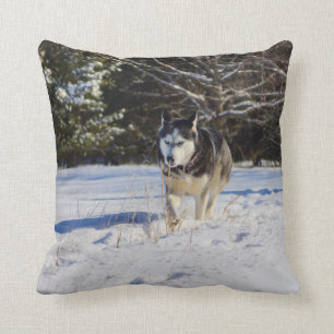 Cojín Decorativo Husky siberiano en la nieve