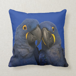 Cojín Decorativo Hyacinin Macaw Parrot Ave Rara Azul