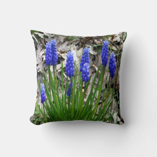 Cojín Decorativo Hyacinths de uva...... (Anverso)