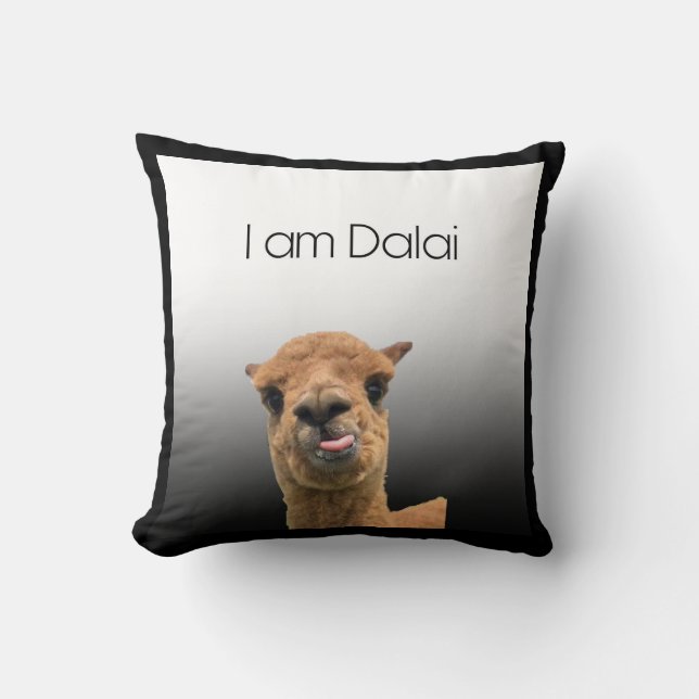 Cojín Decorativo I am Dalai (Anverso)