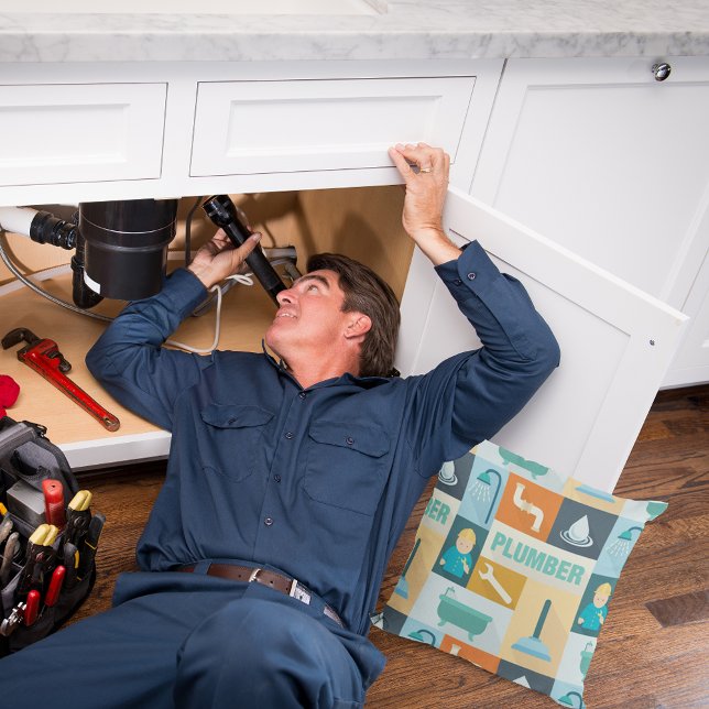 Cojín Decorativo Icónico de plomo profesional (Subido por el creador)