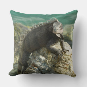 Cojín Decorativo Iguana en las rocas en St. Thomas