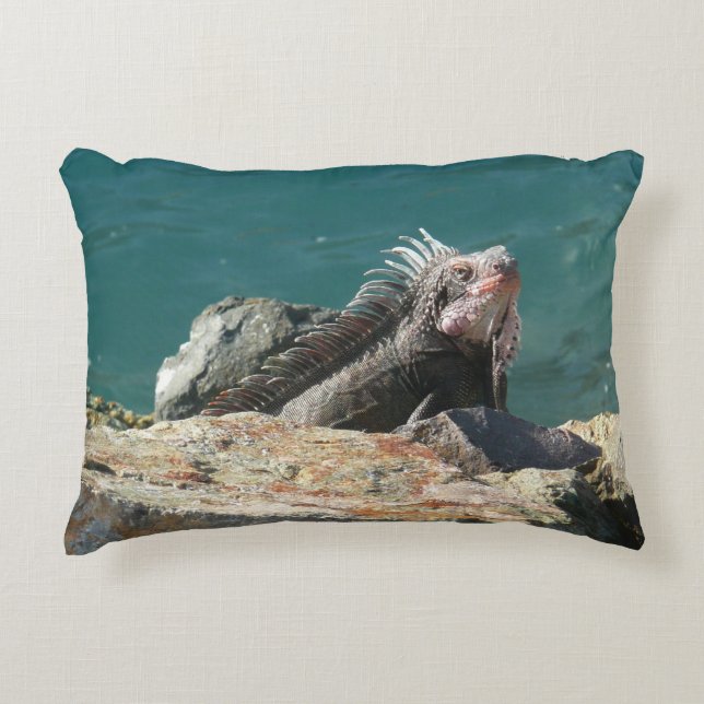 Cojín Decorativo Iguana en St. Thomas (Anverso)