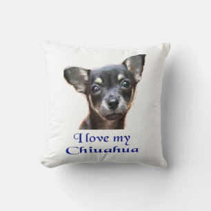 Cojín Decorativo Ilovemychiwawatee