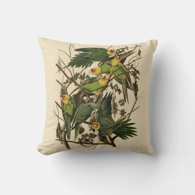 Cojín Decorativo Ilustracion Audubon Carolina Parrot Bird (Anverso)