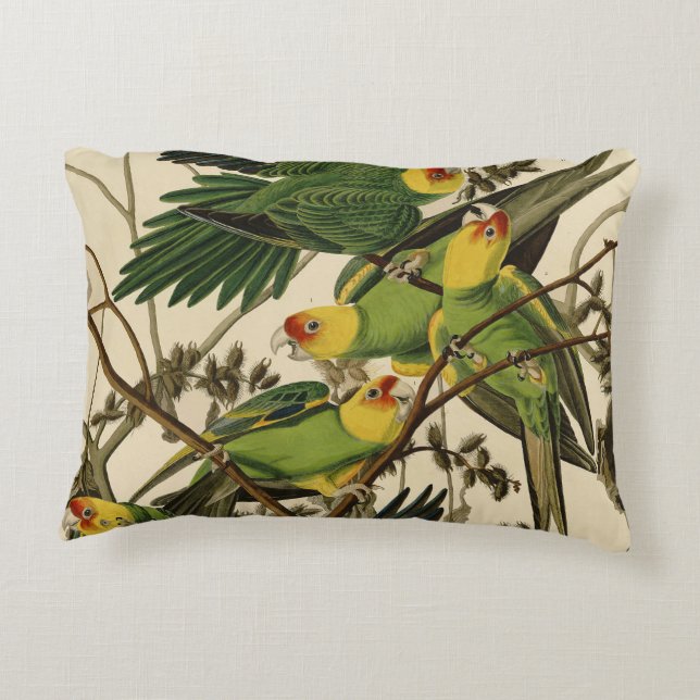 Cojín Decorativo Ilustracion Audubon Carolina Parrot Bird (Reverso)