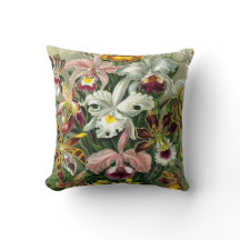 Ilustracion botánico de las orquídeas del vintage