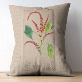 Cojín Decorativo Ilustracion Botánico Francés Amaranthus