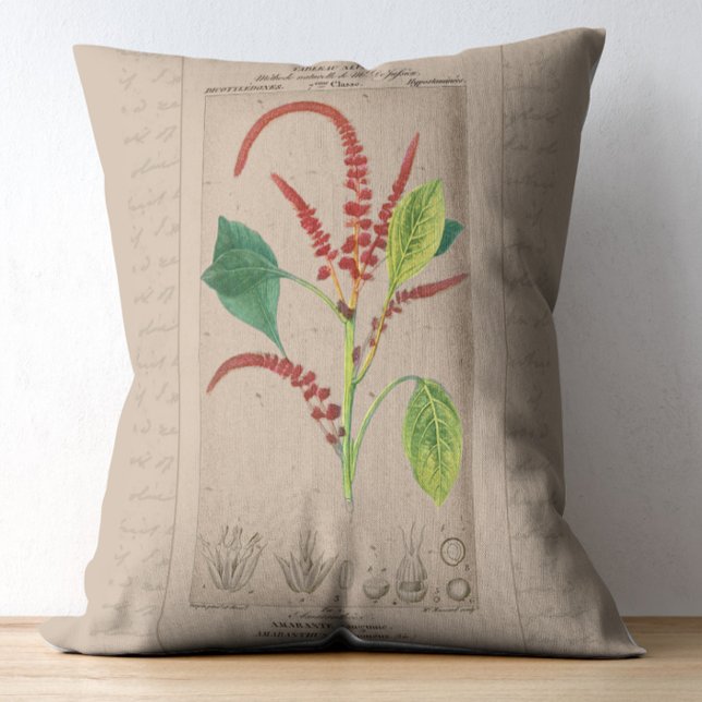 Cojín Decorativo Ilustracion Botánico Francés Amaranthus (Subido por el creador)