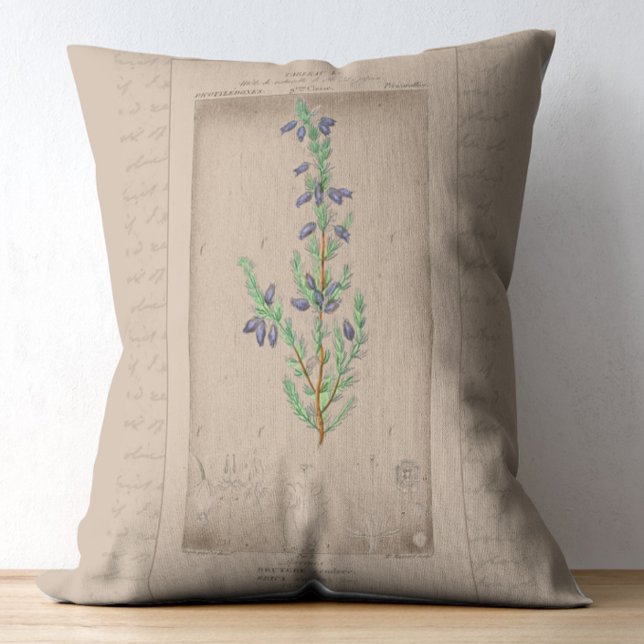 Cojín Decorativo Ilustracion botánico francés Bell Heather (Subido por el creador)
