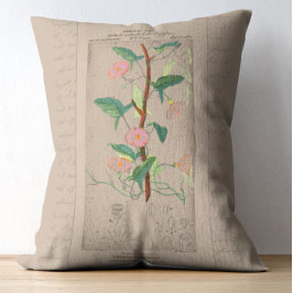 Cojín Decorativo Ilustracion botánico francés Bindweed