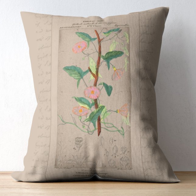 Cojín Decorativo Ilustracion botánico francés Bindweed (Subido por el creador)