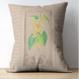 Cojín Decorativo Ilustracion botánico francés Birthwort