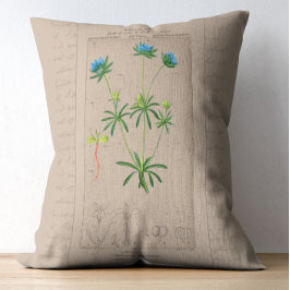 Cojín Decorativo Ilustracion botánico francés Blue Woodruff