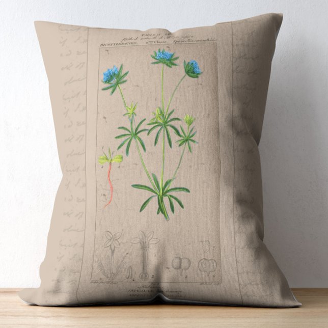 Cojín Decorativo Ilustracion botánico francés Blue Woodruff (Subido por el creador)