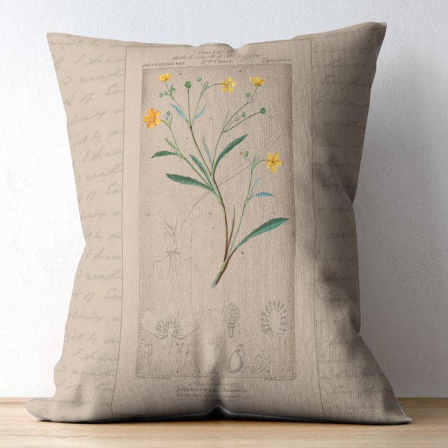 Cojín Decorativo Ilustracion Botánico Francés Buttercup (Subido por el creador)
